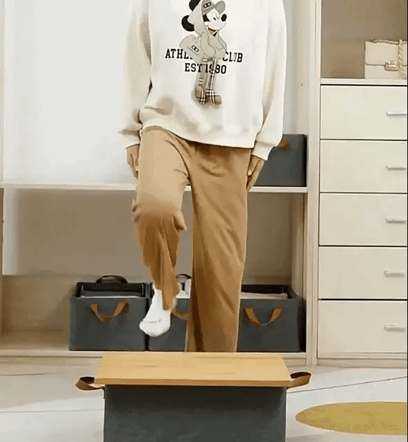 Premium Clothes Organizer for Wardrobe | Foldable & Stackable Closet Organizer, 2 Pieces